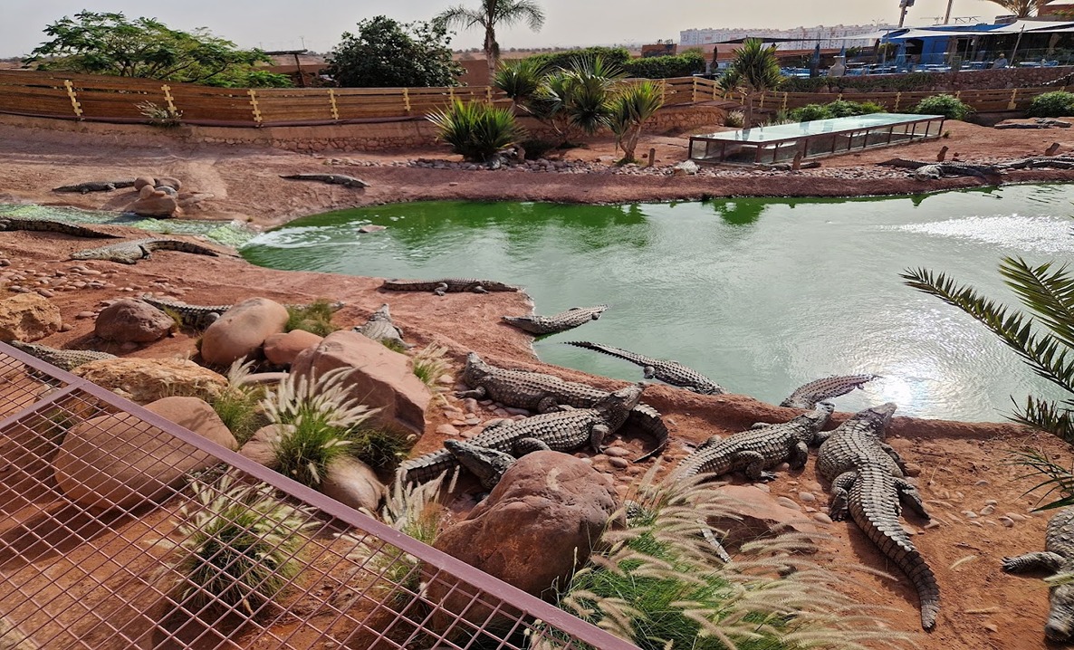 Visite du Crocoparc